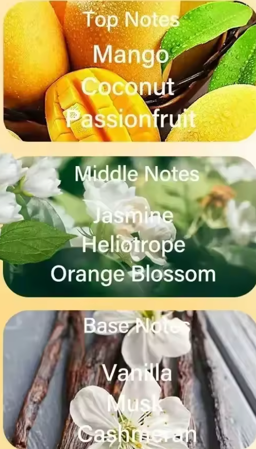 Lattafa Yara Tous Women PACK TRAVEL SIZED BOTTLES 24 PACK