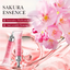 6 PACK Sadoer Sakura Eye Cream